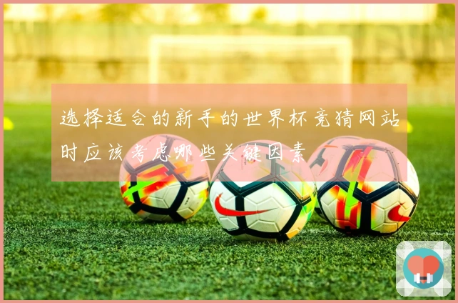 选择适合的新手的世界杯竞猜网站时应该考虑哪些关键因素