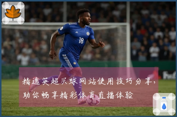 精选英超买球网站使用技巧分享，助你畅享精彩体育直播体验