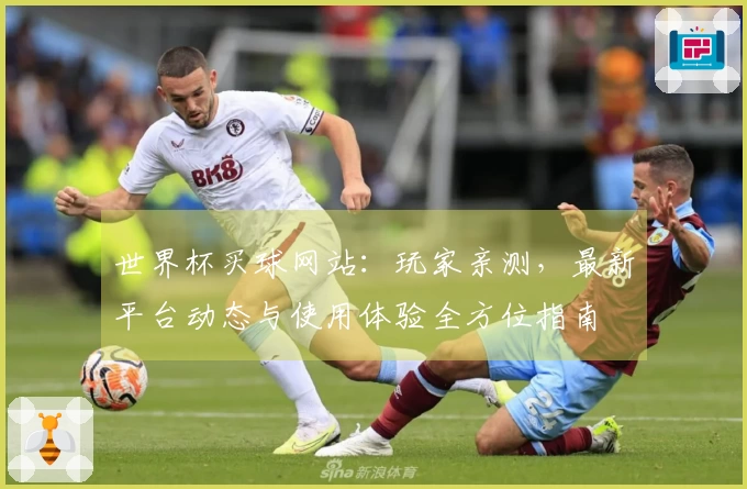 世界杯买球网站：玩家亲测，最新平台动态与使用体验全方位指南
