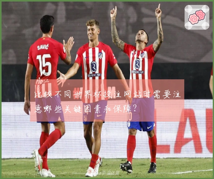 比较不同世界杯投注网站时需要注意哪些关键因素和保障？