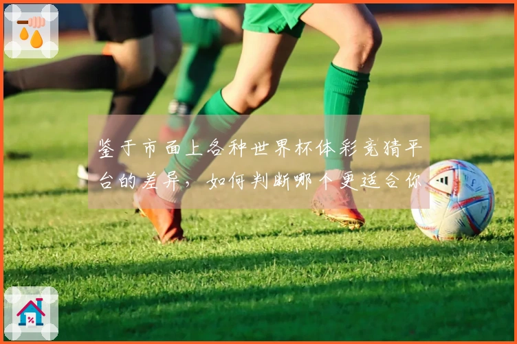 鉴于市面上各种世界杯体彩竞猜平台的差异，如何判断哪个更适合你的需求？