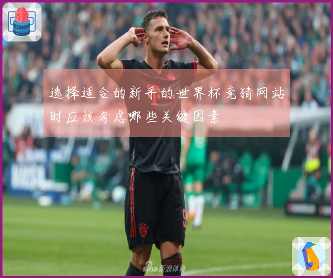 选择适合的新手的世界杯竞猜网站时应该考虑哪些关键因素