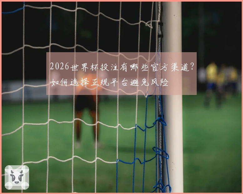 2026世界杯投注有哪些官方渠道？如何选择正规平台避免风险