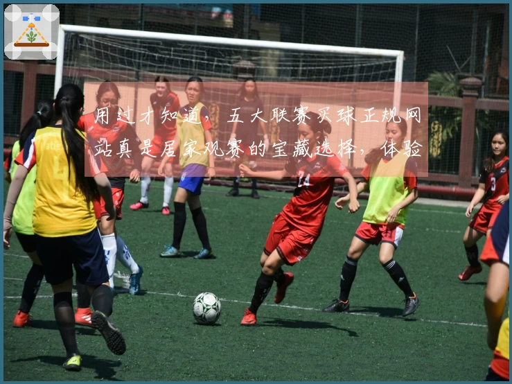 用过才知道，五大联赛买球正规网站真是居家观赛的宝藏选择，体验感一级棒