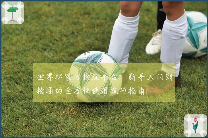世界杯官方投注平台:新手入门到精通的全方位使用技巧指南