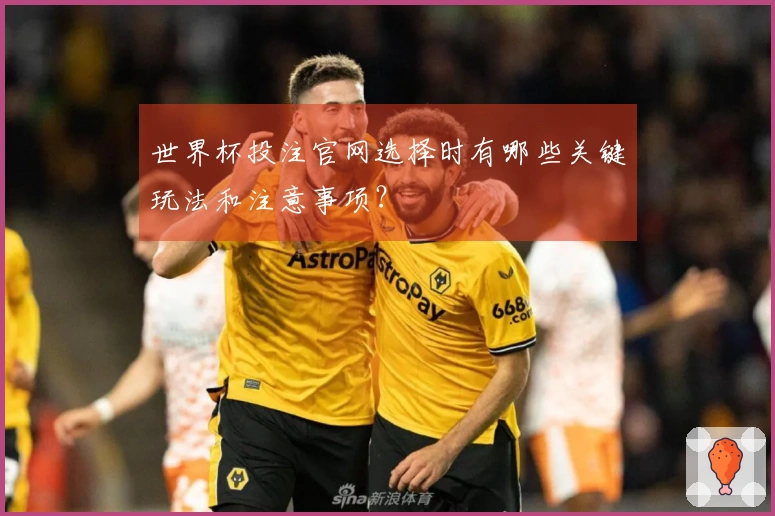世界杯投注官网选择时有哪些关键玩法和注意事项？