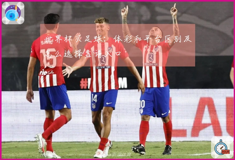 世界杯买足球：体彩和平台区别及怎么选择靠谱入口