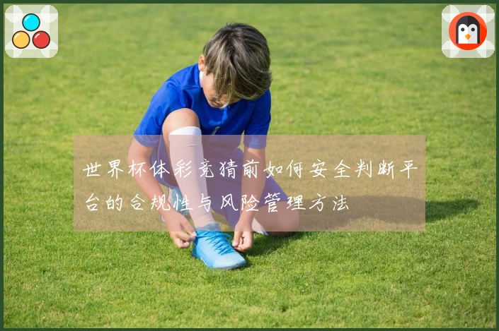 世界杯体彩竞猜前如何安全判断平台的合规性与风险管理方法