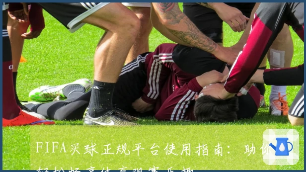 FIFA买球正规平台使用指南：助你轻松畅享体育观赛乐趣