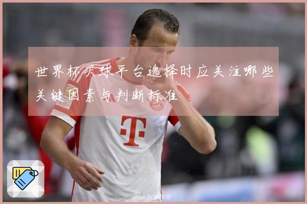 世界杯买球平台选择时应关注哪些关键因素与判断标准