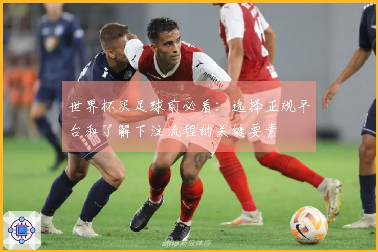 世界杯买足球前必看：选择正规平台和了解下注流程的关键要素