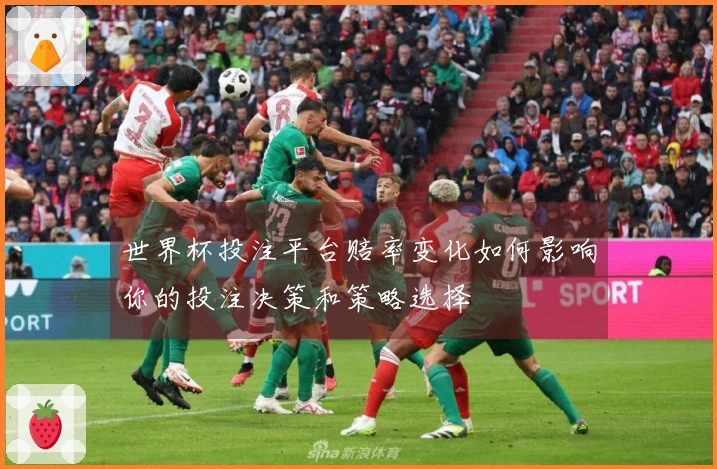 世界杯投注平台赔率变化如何影响你的投注决策和策略选择