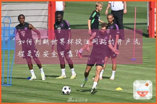 如何判断世界杯投注网站的开户流程是否安全可靠？