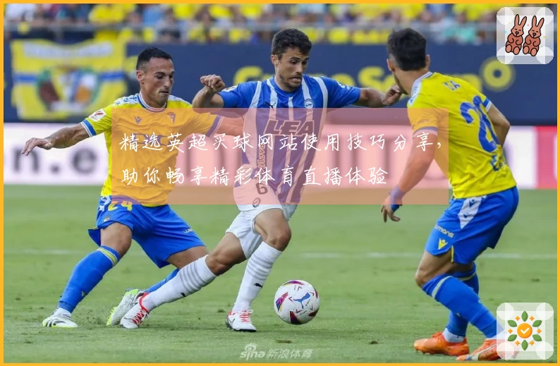 精选英超买球网站使用技巧分享，助你畅享精彩体育直播体验