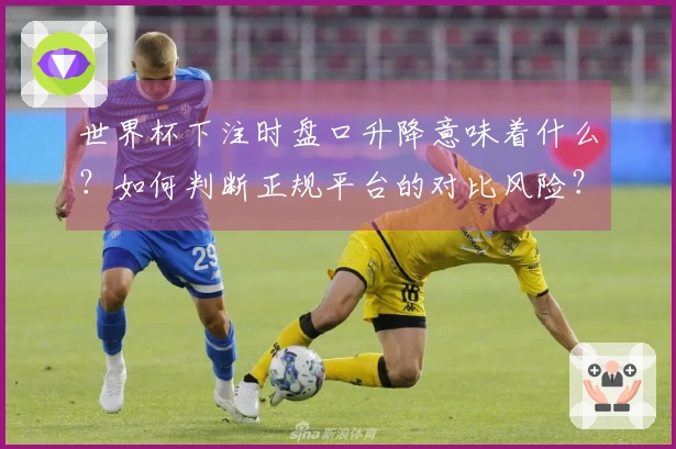 世界杯下注时盘口升降意味着什么？如何判断正规平台的对比风险？