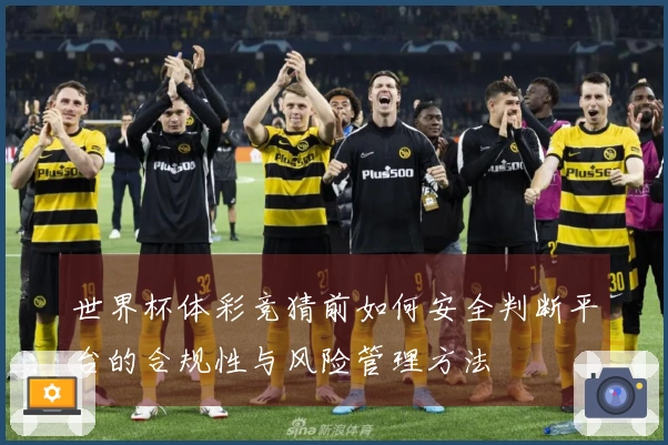 世界杯体彩竞猜前如何安全判断平台的合规性与风险管理方法
