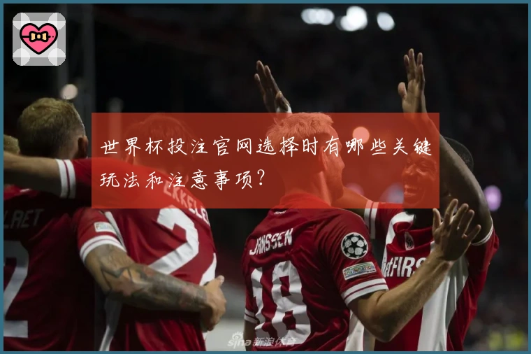 世界杯投注官网选择时有哪些关键玩法和注意事项？