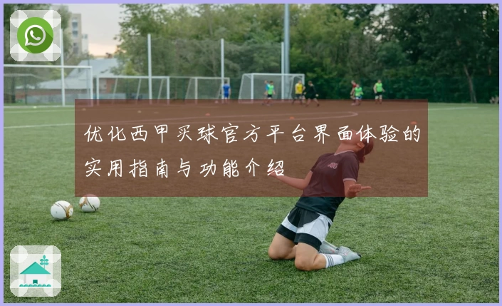 优化西甲买球官方平台界面体验的实用指南与功能介绍